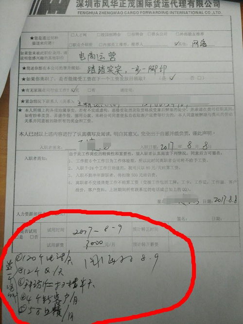 國(guó)際貨運(yùn)代理公司 行業(yè)洞察與職業(yè)前景分析